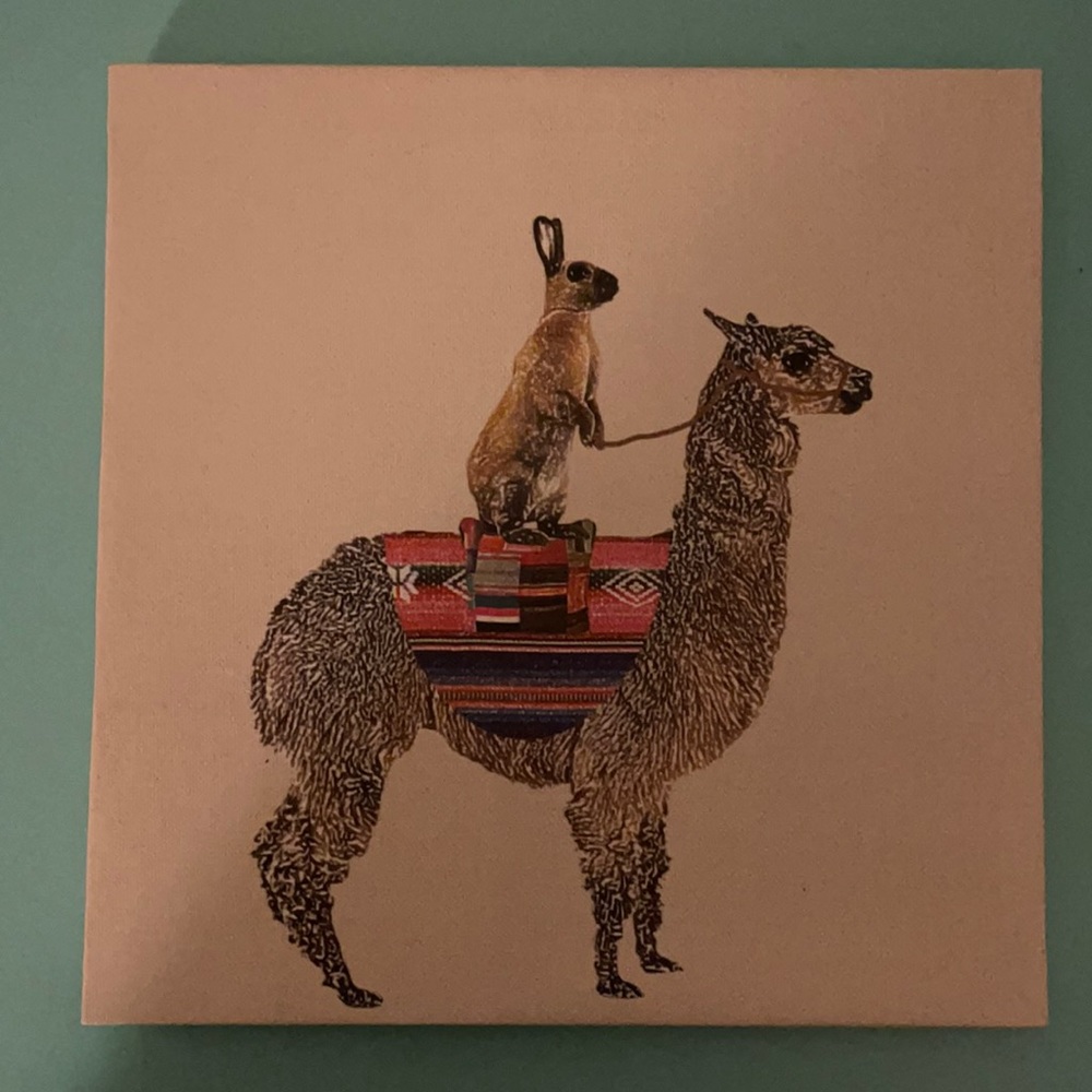 COPY - Claudia Schoen  Boho Funky Rabbit riding Alpaca